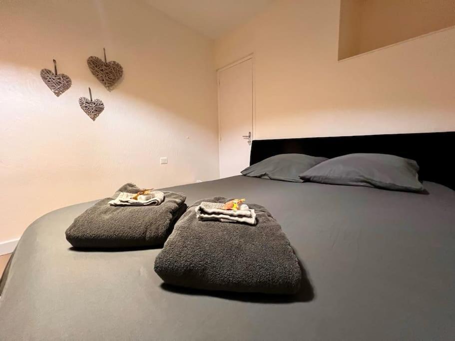 Appartement Climatise 4Prsn Au Pied De La Citadelle ブザンソン エクステリア 写真