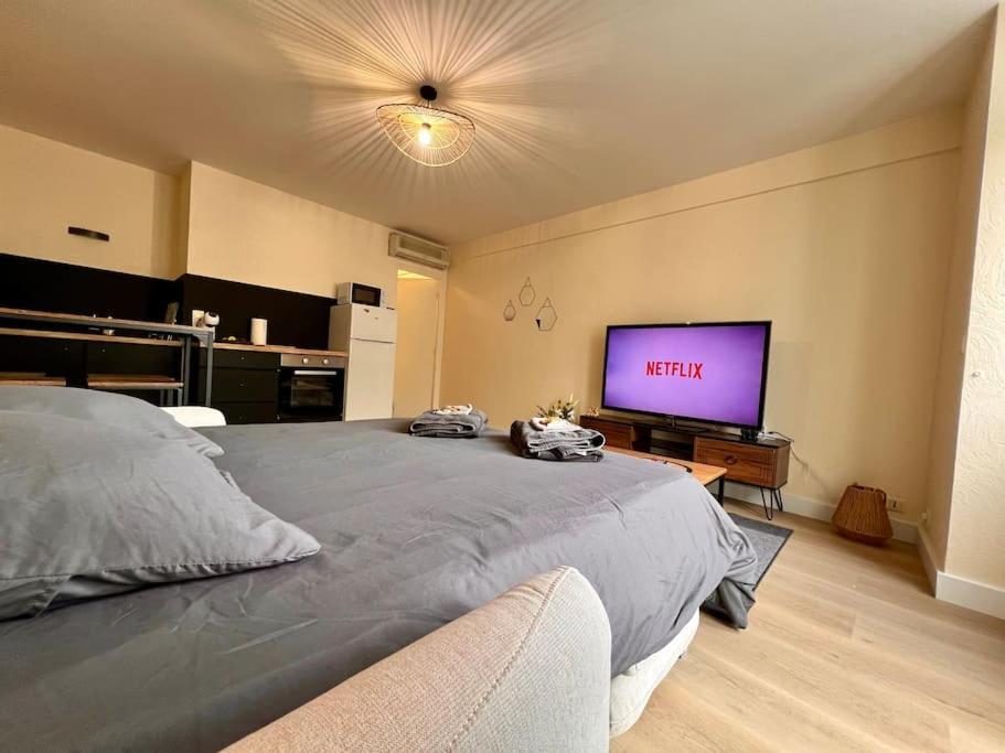 Appartement Climatise 4Prsn Au Pied De La Citadelle ブザンソン エクステリア 写真