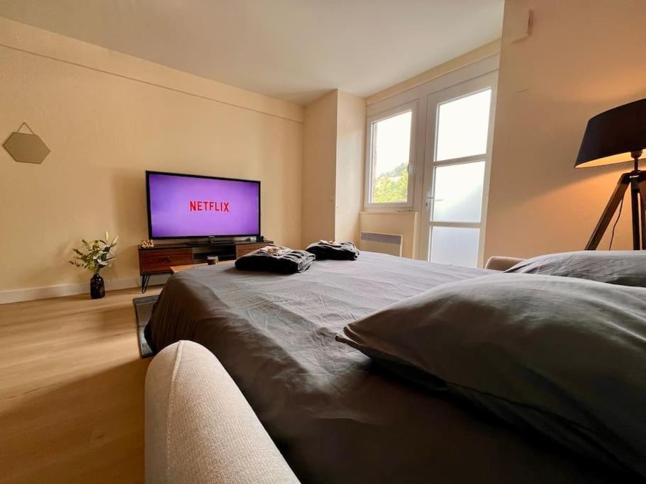 Appartement Climatise 4Prsn Au Pied De La Citadelle ブザンソン エクステリア 写真